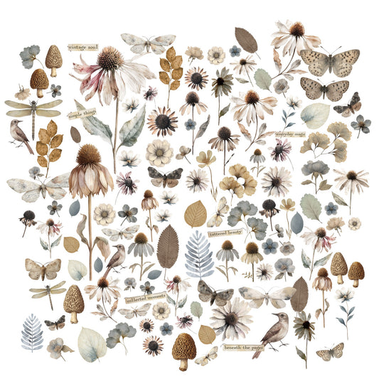 Collection of illustrated flowers, leaves, and insects on a white background