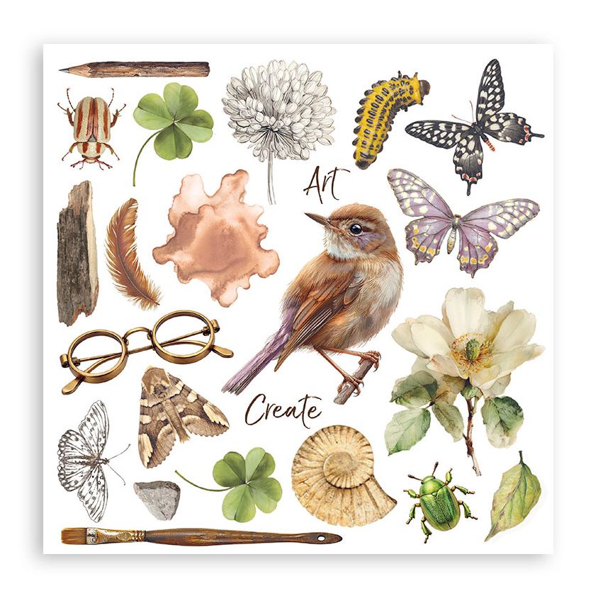 Stamperia - All Around Collection - Rub On Selection