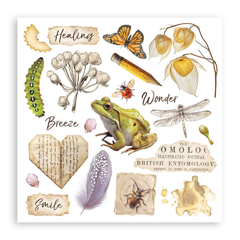 Stamperia - All Around Collection - Rub On Selection