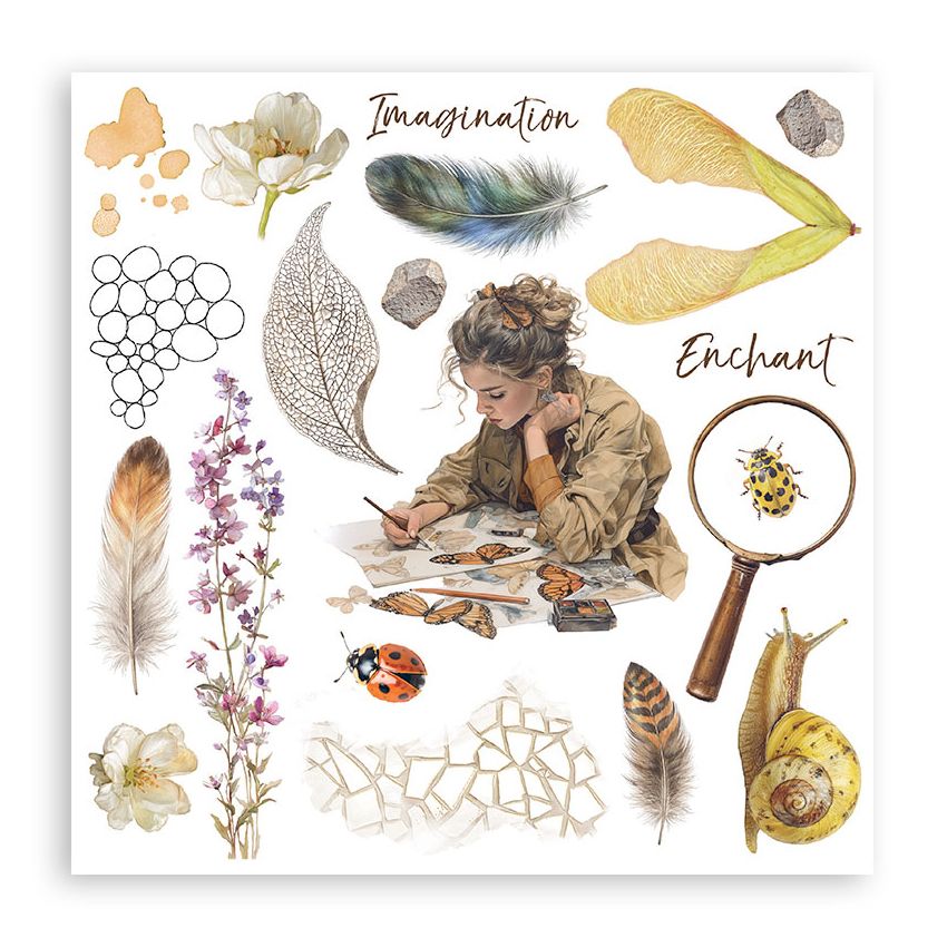 Stamperia - All Around Collection - Rub On Selection
