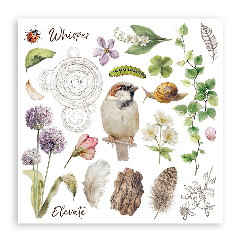Stamperia - All Around Collection - Rub On Selection