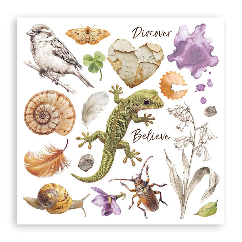 Stamperia - All Around Collection - Rub On Selection