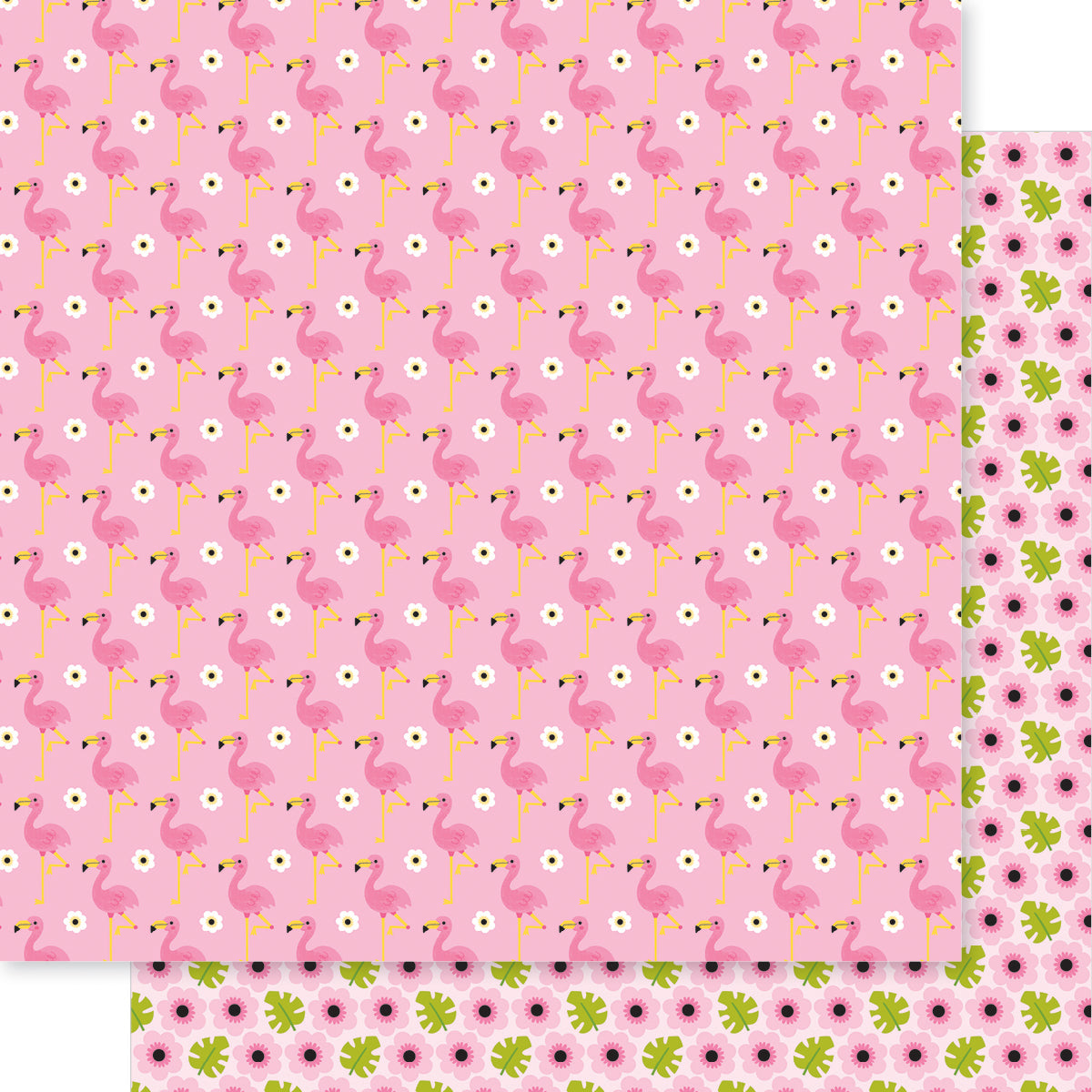 Bella Blvd - Zoo Day Collection - 12 x 12 Double Sided Cardstock - Fancy Feathers