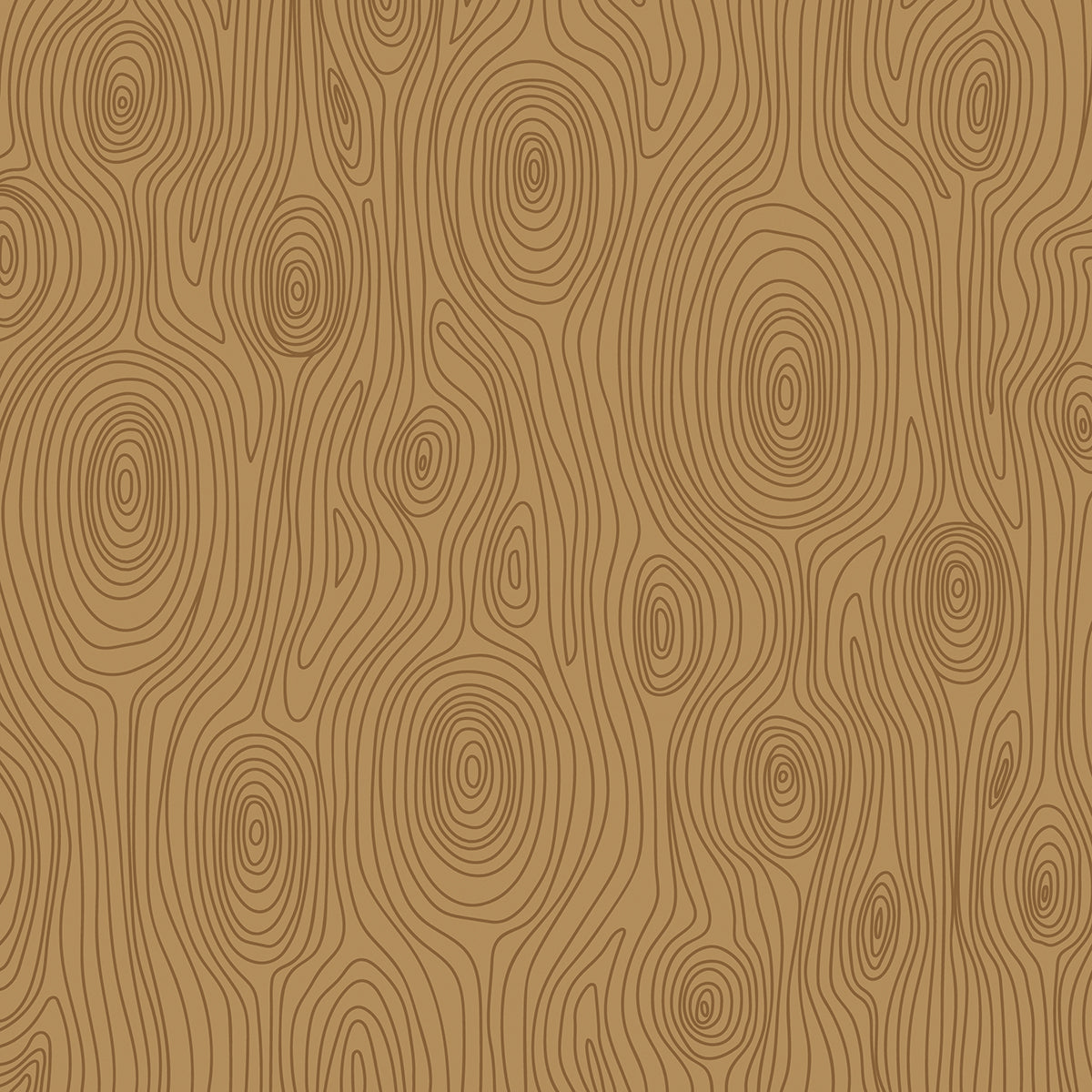 Bella Blvd - Zoo Day Collection - 12 x 12 Double Sided Cardstock - Around The Zoo
