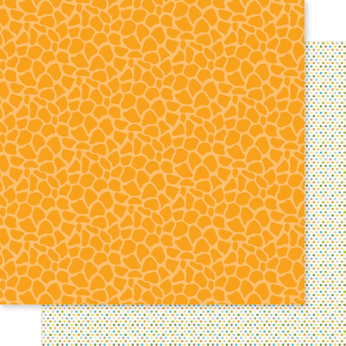 Bella Blvd - Zoo Day Collection - 12 x 12 Double Sided Cardstock - Stand Tall