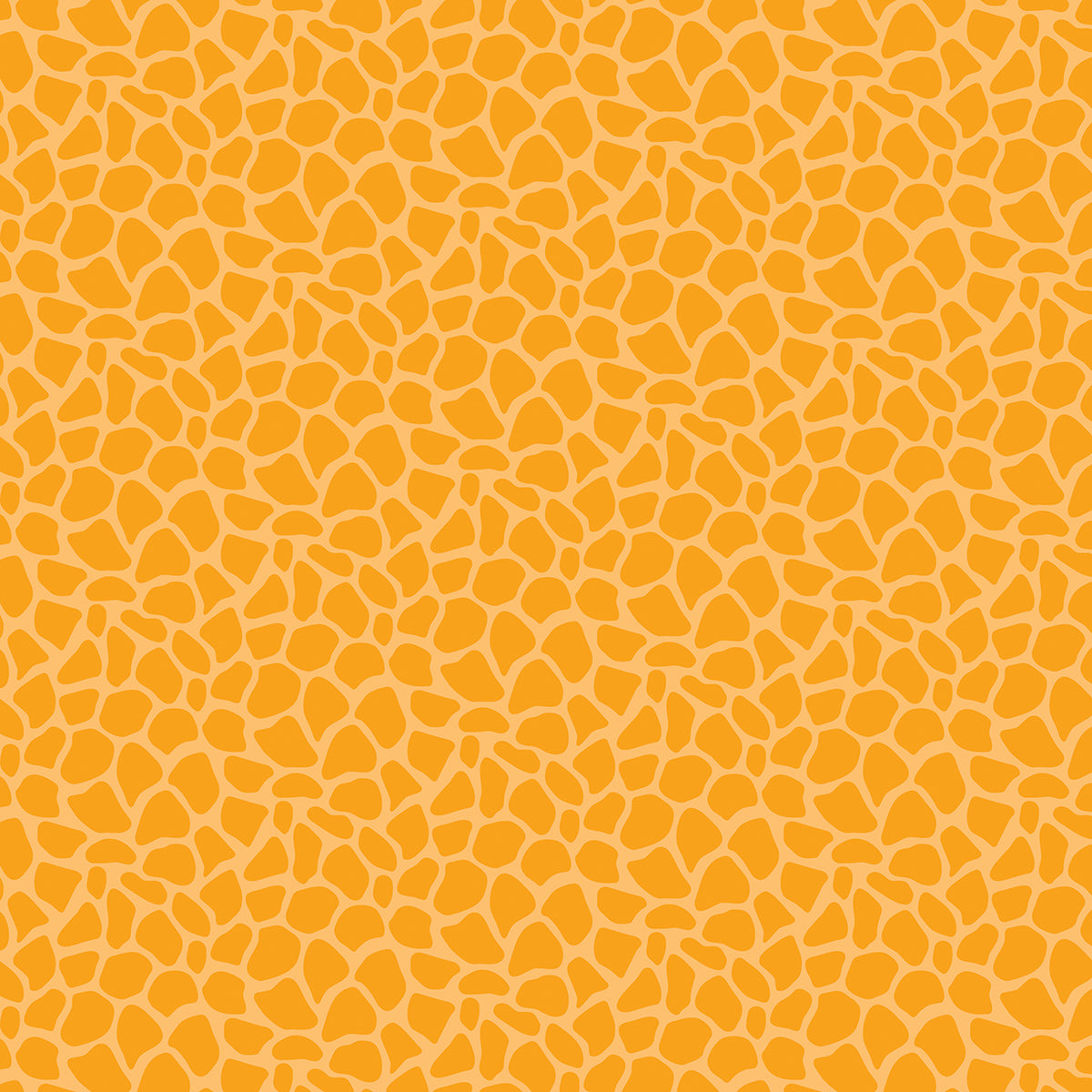 Bella Blvd - Zoo Day Collection - 12 x 12 Double Sided Cardstock - Stand Tall