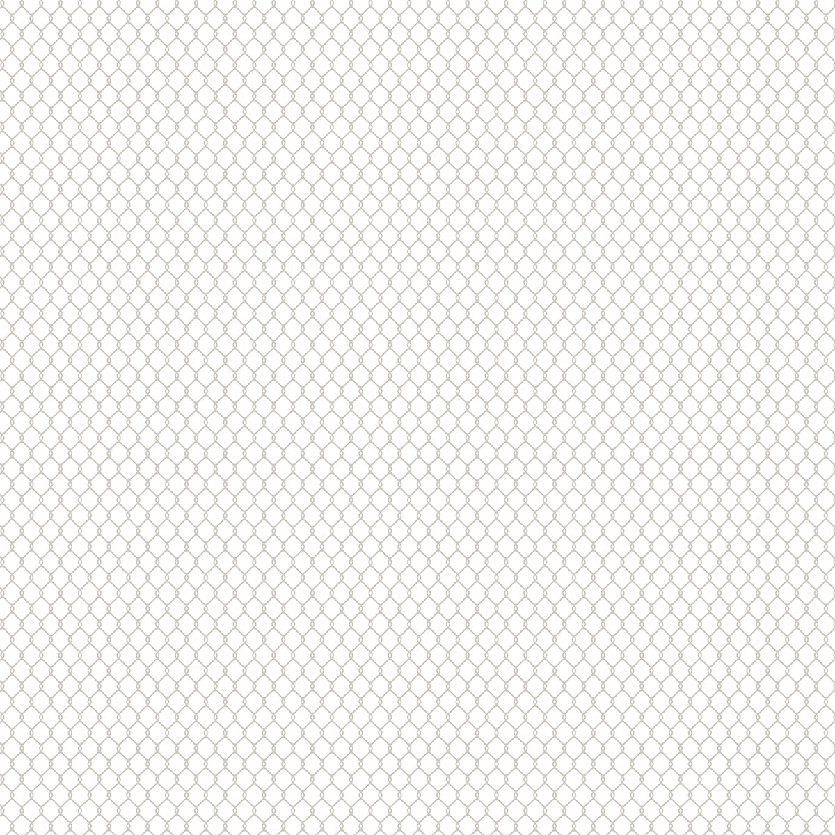 Bella Blvd - Zoo Day Collection - 12 x 12 Double Sided Cardstock - Daily Details