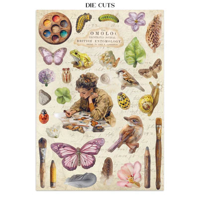 Stamperia - All Around Collection - Junk Journal - Stickers, Cut-Outs, and Backgrounds