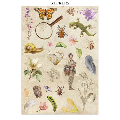 Stamperia - All Around Collection - Junk Journal - Stickers, Cut-Outs, and Backgrounds