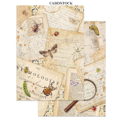 Stamperia - All Around Collection - Junk Journal - Stickers, Cut-Outs, and Backgrounds