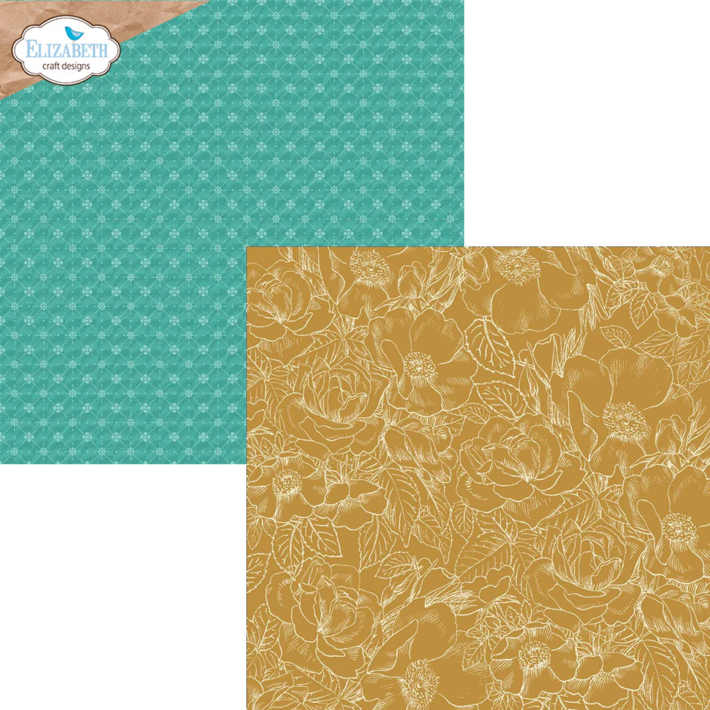 Elizabeth Craft Designs - Delightful Discovery Collection - 12 x 12 Paper Pack - Delightful Discovery
