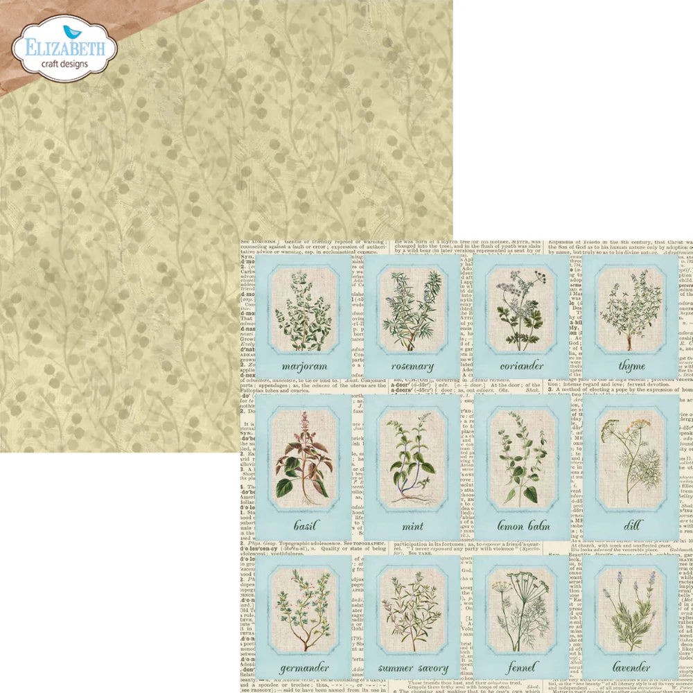 Elizabeth Craft Designs - Delightful Discovery Collection - 12 x 12 Paper Pack - Delightful Discovery
