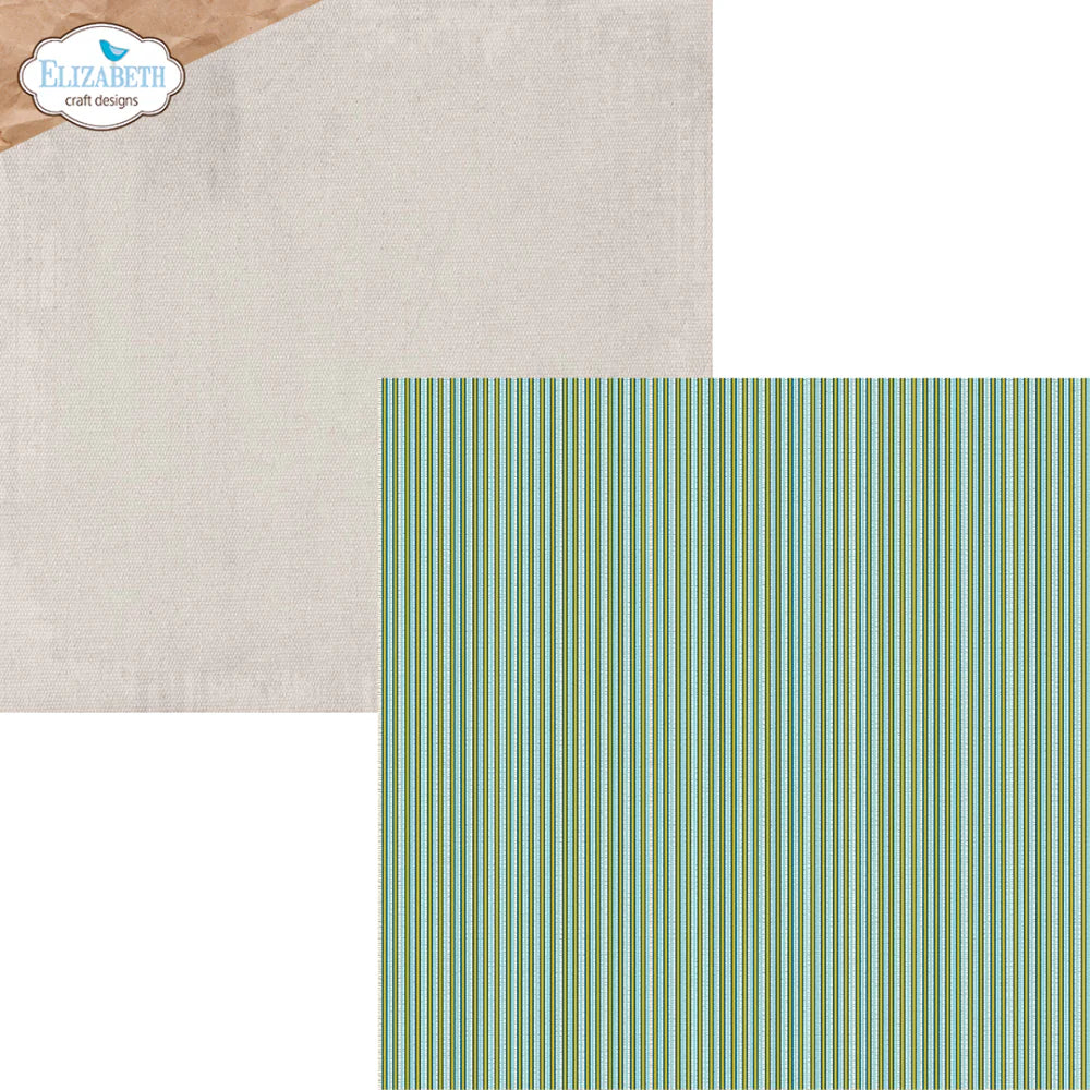 Elizabeth Craft Designs - Delightful Discovery Collection - 12 x 12 Paper Pack - Delightful Discovery