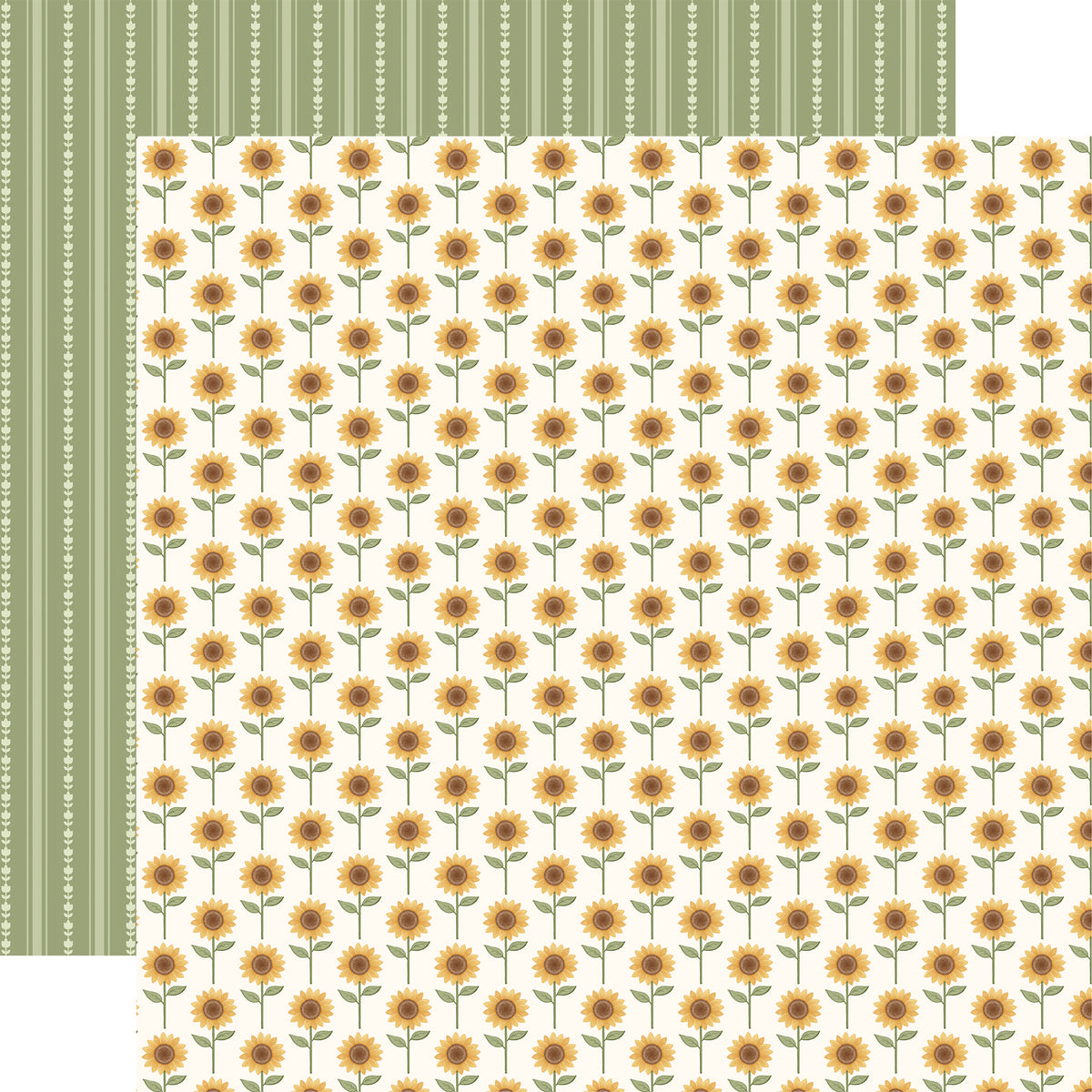 Carta Bella Paper - Home Sweet Home Collection - 12 x 12 Double Sided Paper - Stand Tall Sunflower