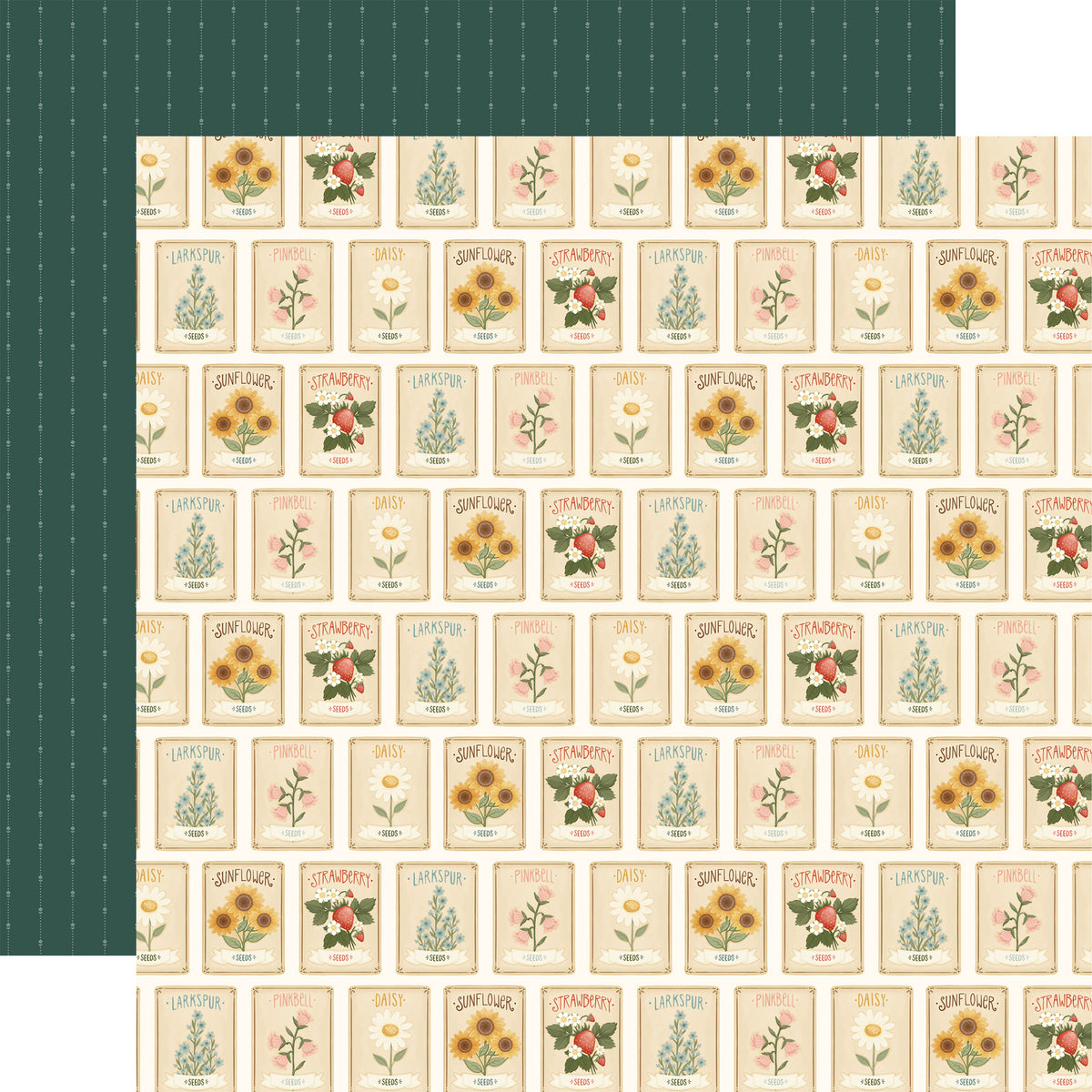 Carta Bella Paper - Home Sweet Home Collection - 12 x 12 Double Sided Paper - Favorite Flower Seeds