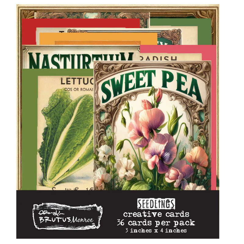 Brutus Monroe - Rooted In Kindness Collection - Creative Cards - Seedlings