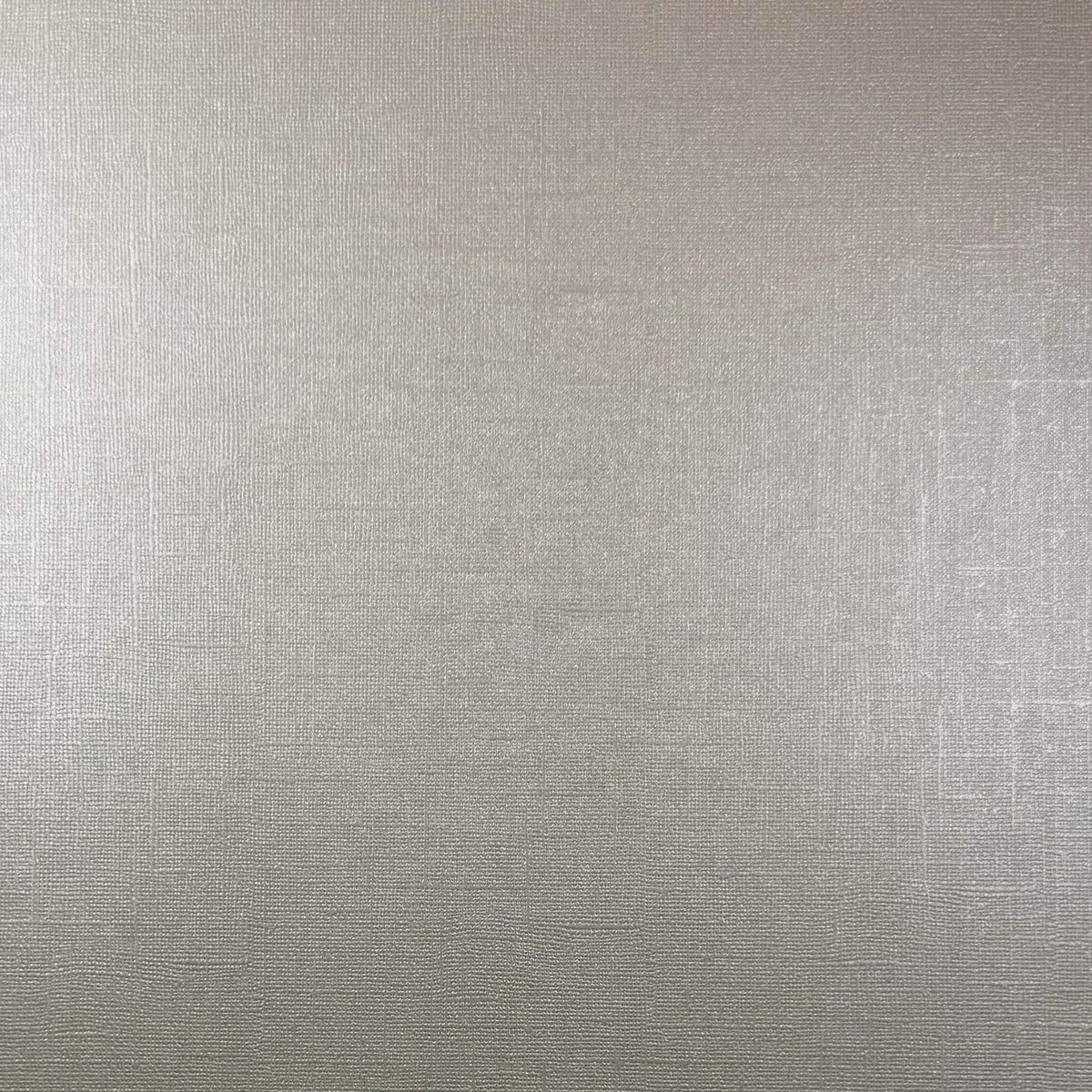 Encore - 12 x 12 Shimmer Textured Pearlescent Cardstock - Crystal Rock