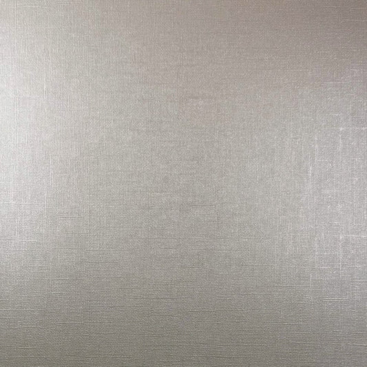 Encore - 12 x 12 Shimmer Textured Pearlescent Cardstock - Crystal Rock
