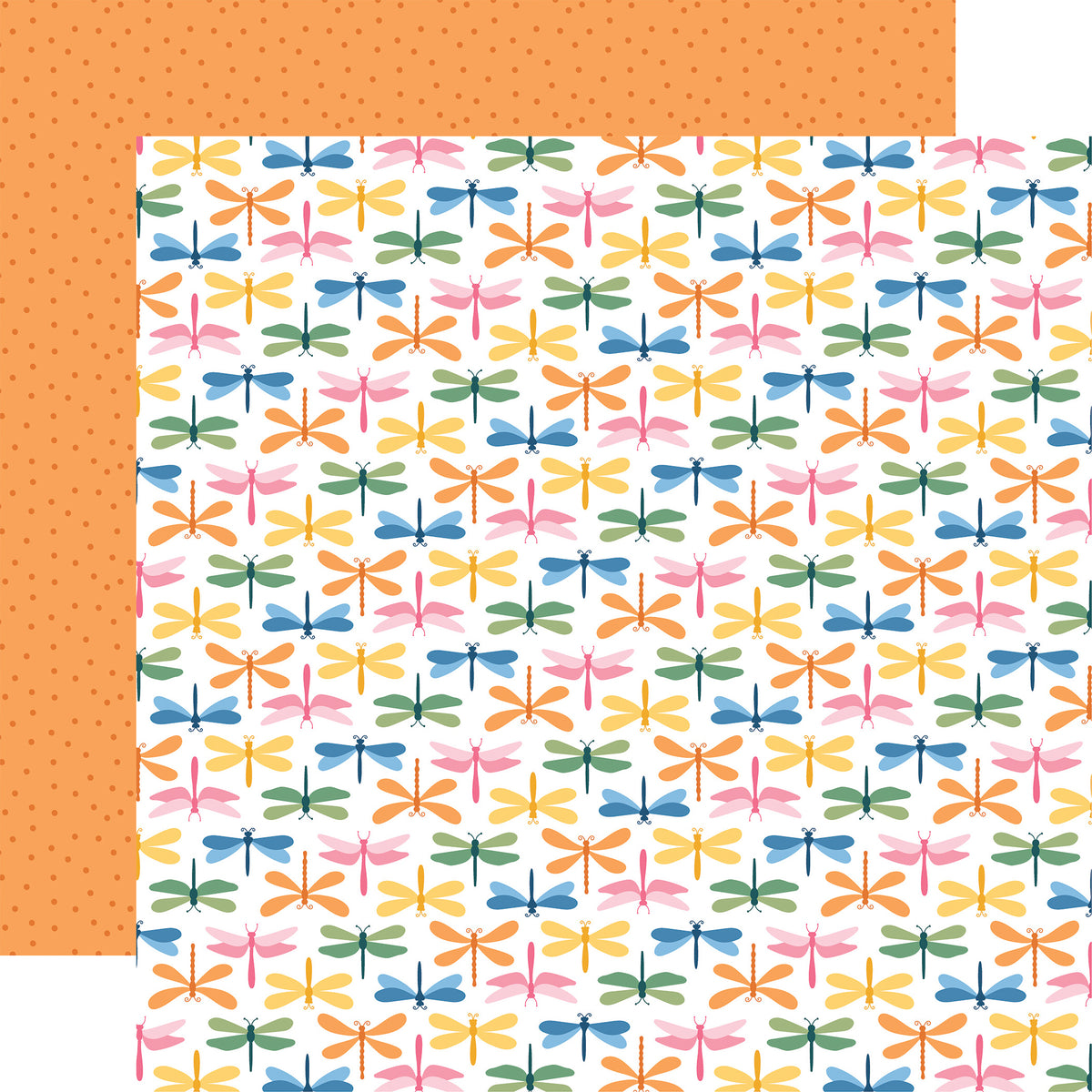 Echo Park - Dragonfly Collection -12 x 12 Double-Sided Paper - Colorful Bugs
