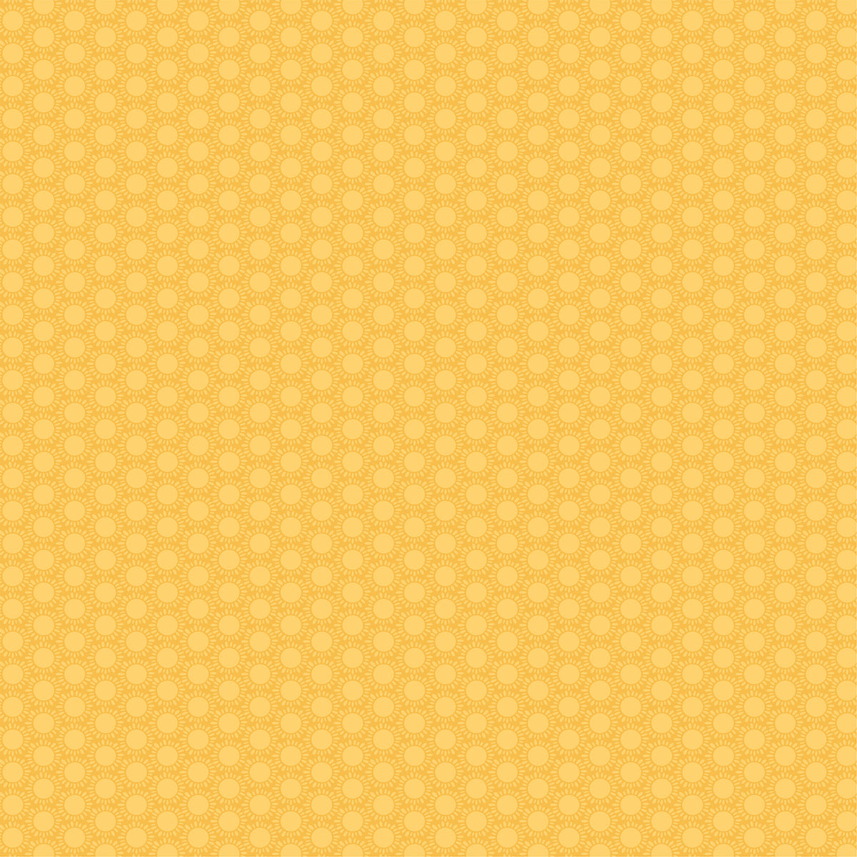 Echo Park - Dragonfly Collection -12 x 12 Double-Sided Paper - Sunny Skies