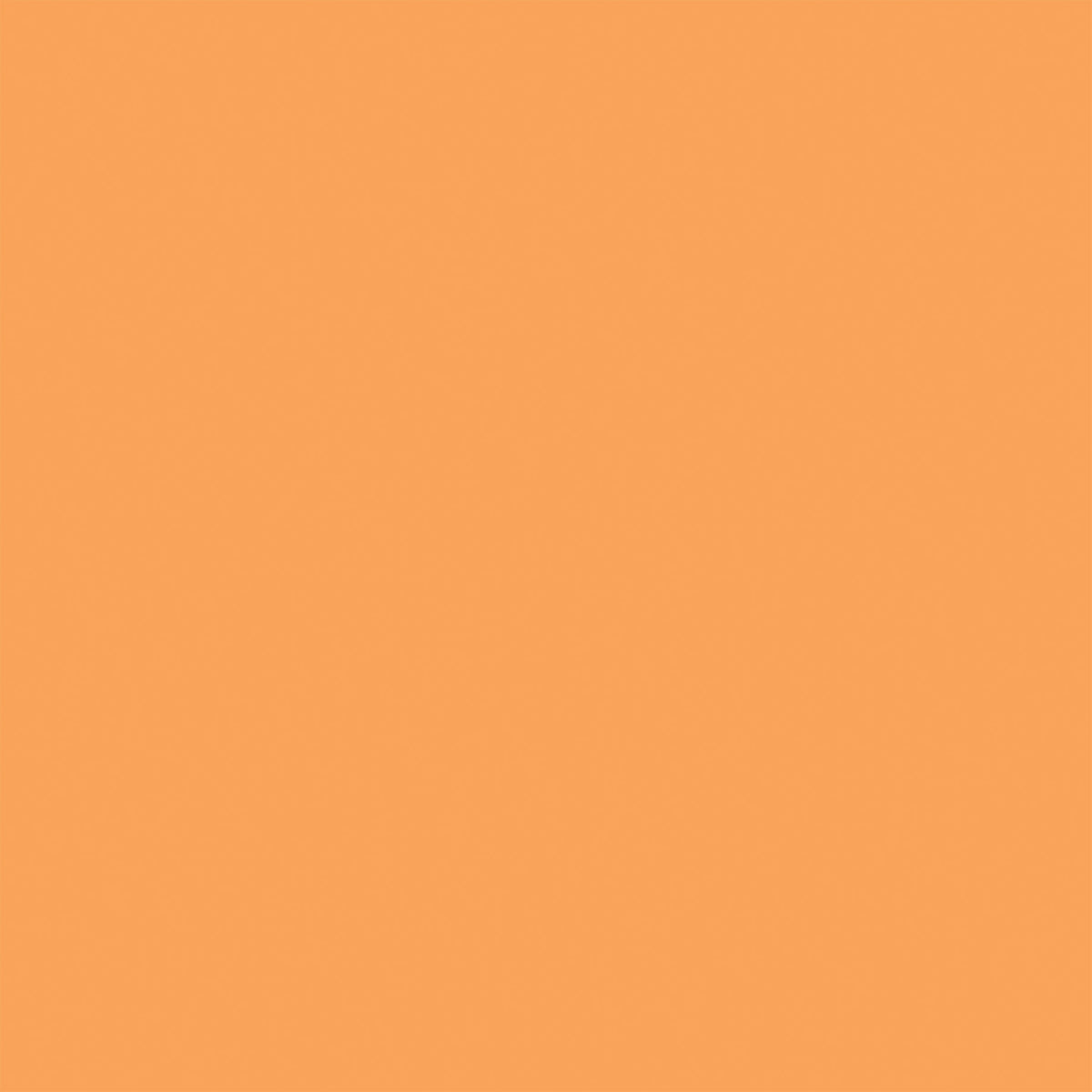 Echo Park - Dragonfly Collection -12 x 12 Double-Sided Coordinating Solid Paper - Blue/Orange