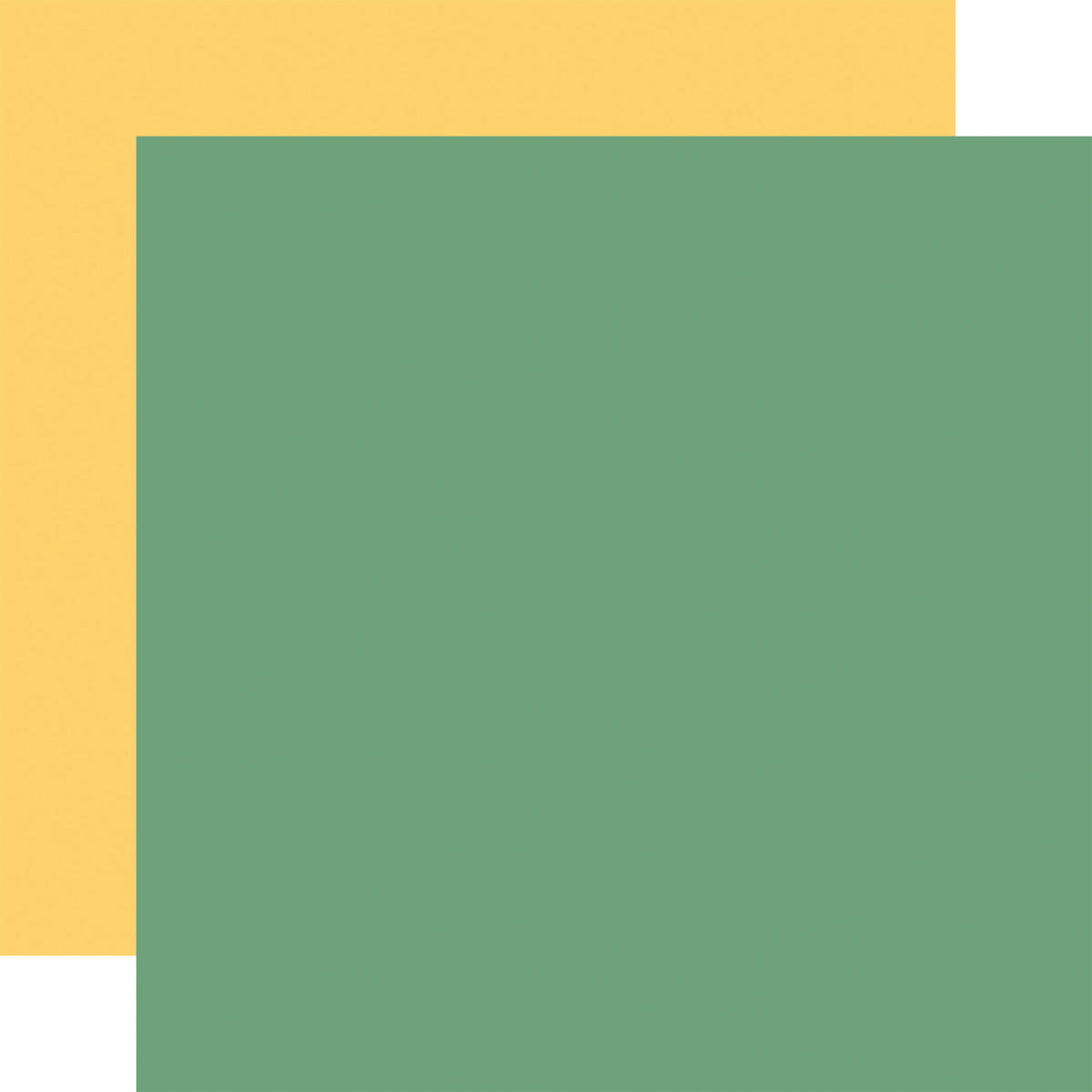 Echo Park - Dragonfly Collection -12 x 12 Double-Sided Coordinating Solid Paper - Green/Yellow