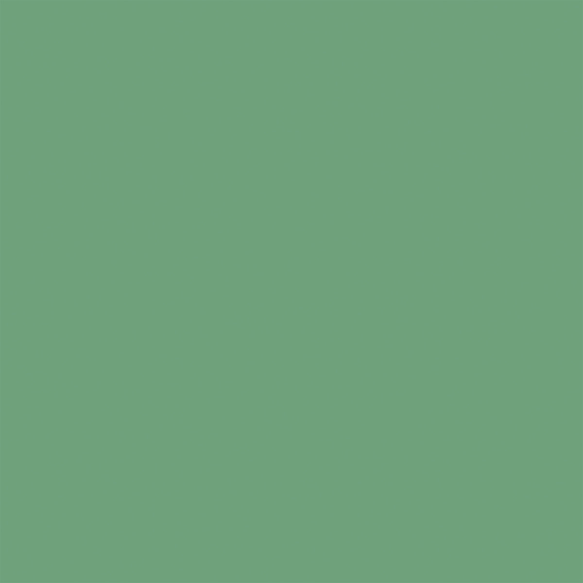 Echo Park - Dragonfly Collection -12 x 12 Double-Sided Coordinating Solid Paper - Green/Yellow
