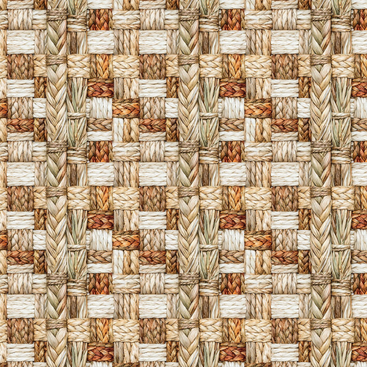 49 And Market - Season's Bounty Collection - 12 x 12 Double Sided Paper - Together