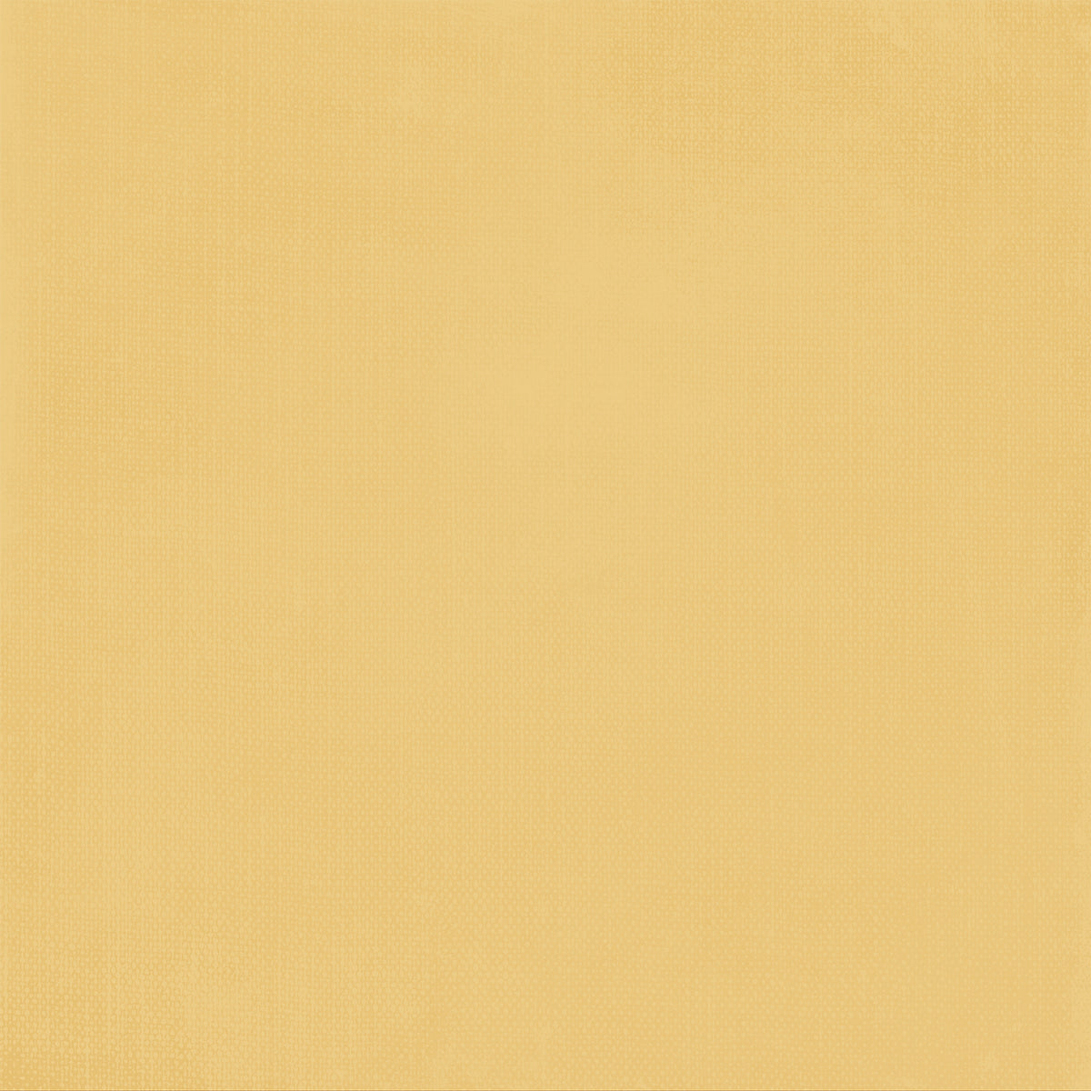 49 And Market - Season's Bounty Collection - 12 x 12 Double Sided Paper - Solid Sheet 2