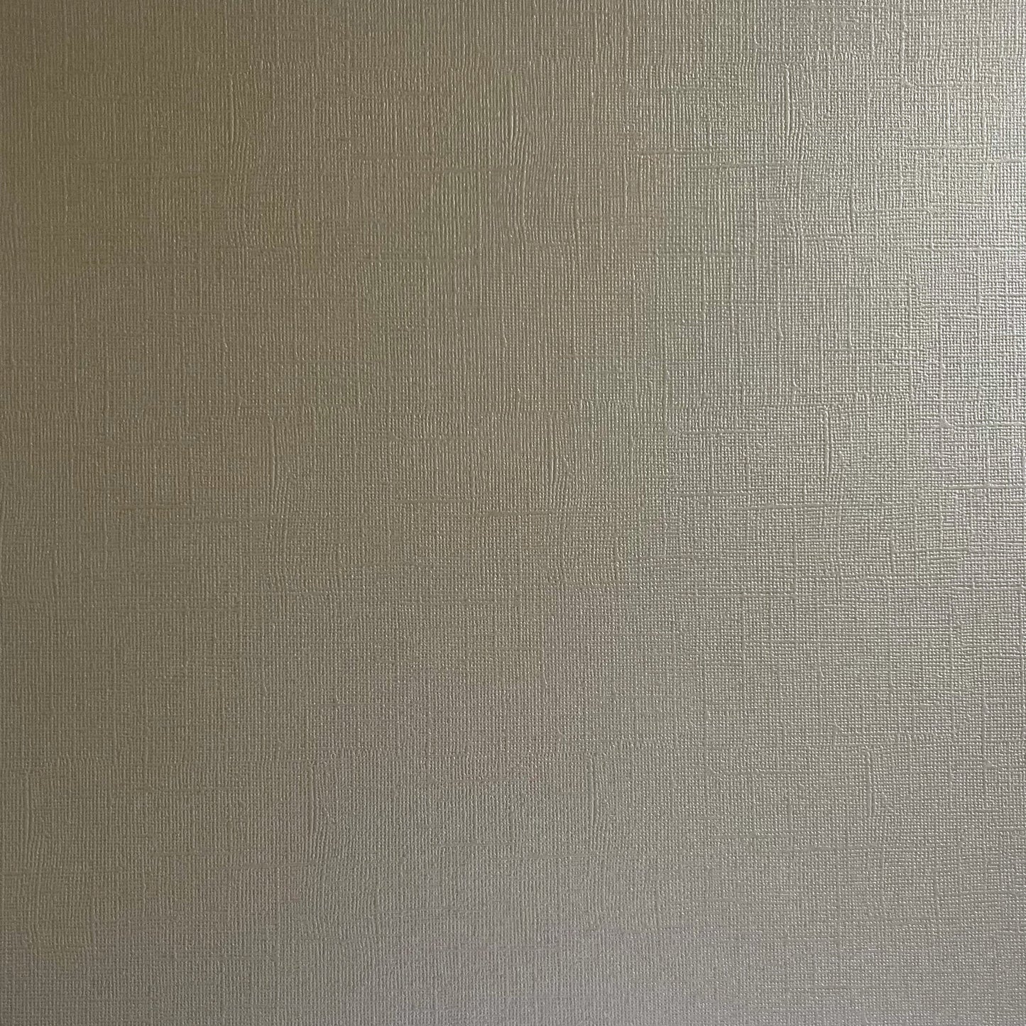 Encore - 12 x 12 Shimmer Textured Pearlescent Cardstock - Driftwood