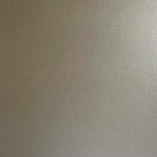 Encore - 12 x 12 Shimmer Textured Pearlescent Cardstock - Driftwood