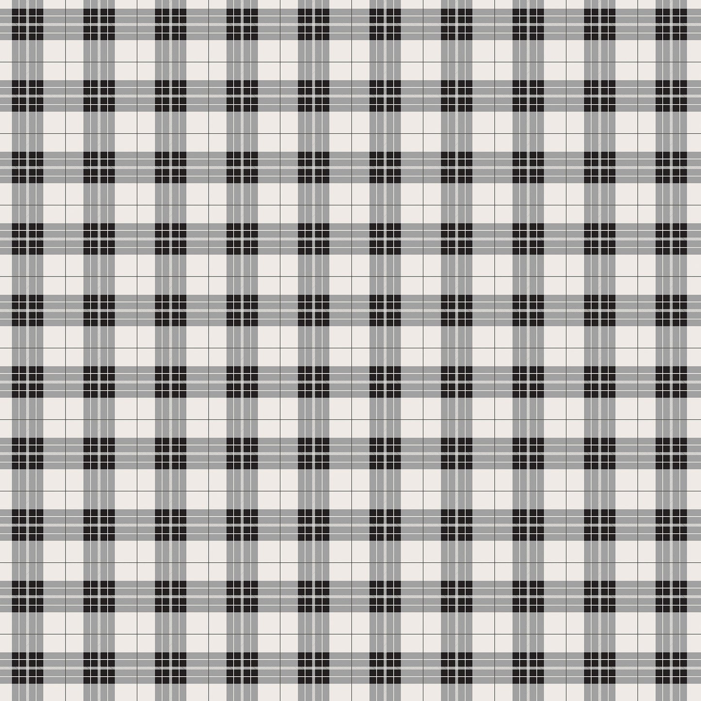 Echo Park - Farmouse Kitchen Collection - 12 x 12 Double Sided Paper - Picnic Plaid