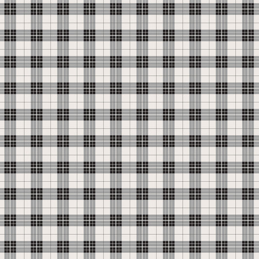 Echo Park - Farmouse Kitchen Collection - 12 x 12 Double Sided Paper - Picnic Plaid