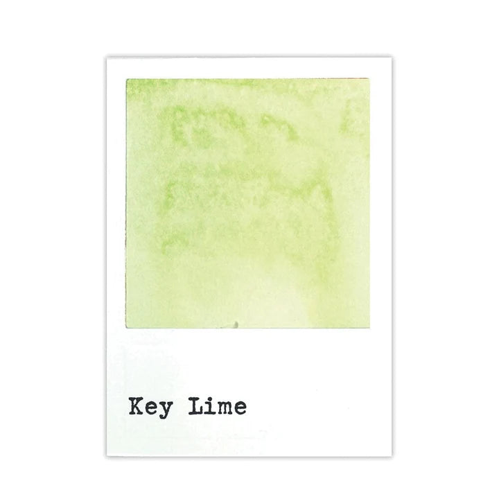 49 And Market Dye Ink Reinkers - Key Lime