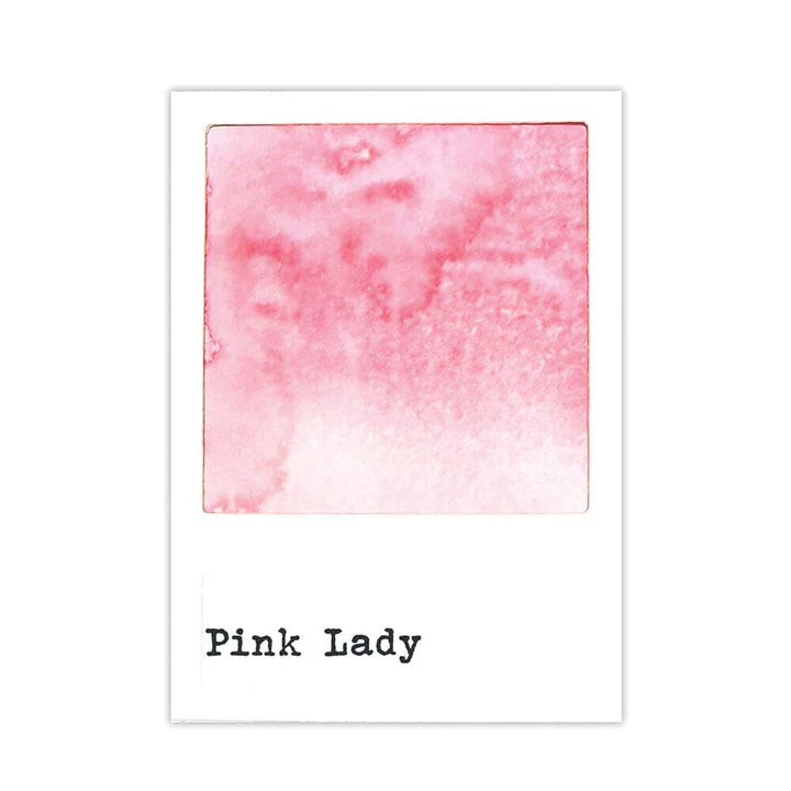 49 And Market Dye Ink Reinkers - Pink Lady