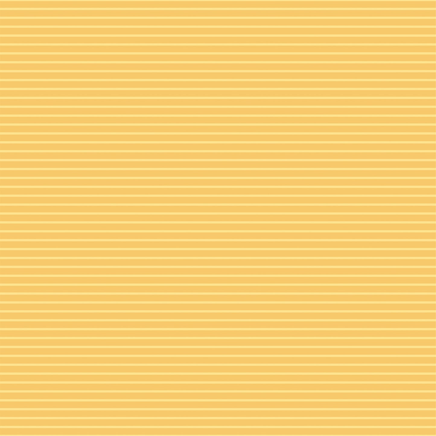Echo Park - Freshly Picked Collection - 12 x 12 Double Sided Paper - Market Pickup