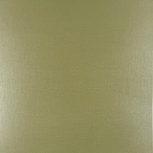 Encore - 12 x 12 Shimmer Textured Pearlescent Cardstock - Frosty Lime