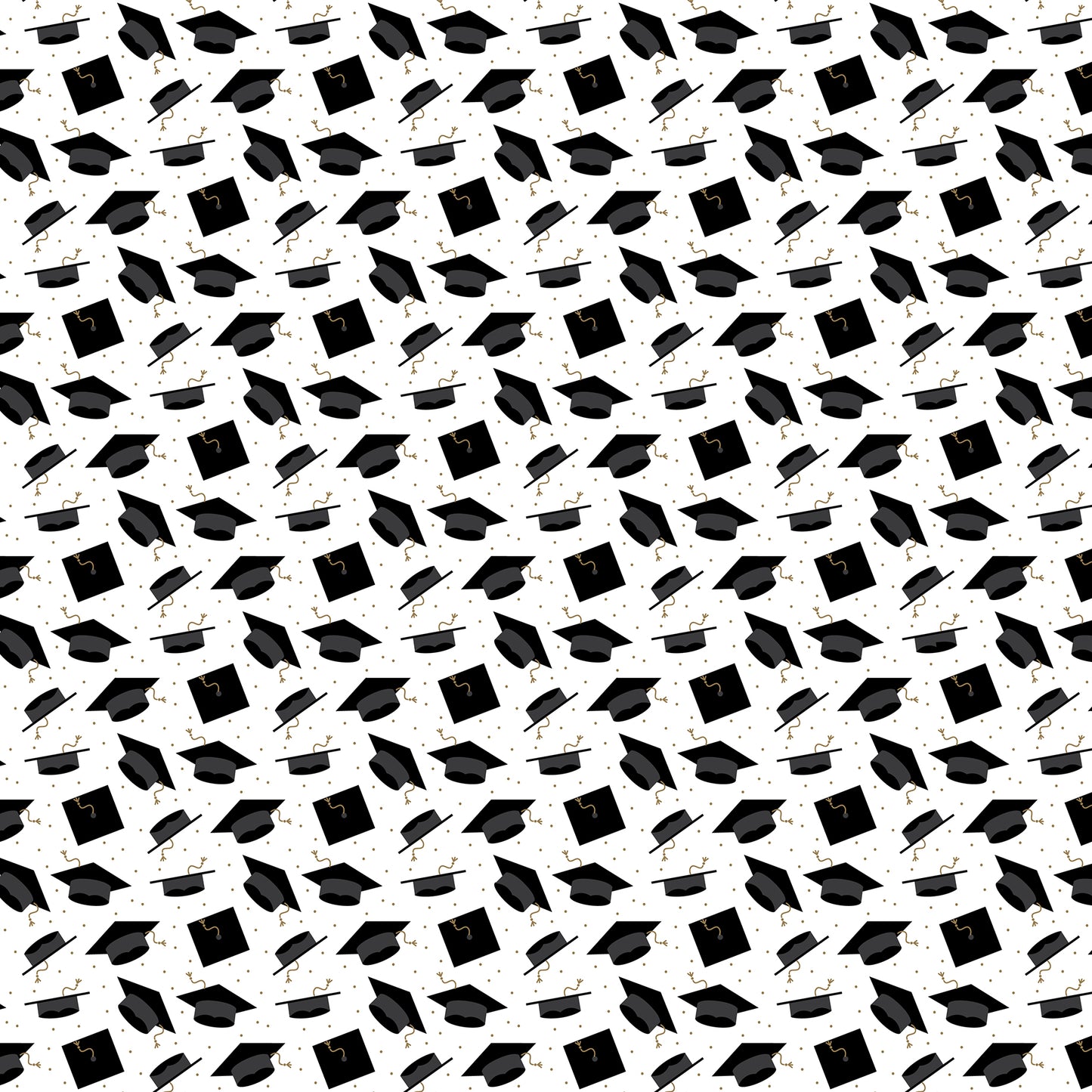 Echo Park - Graduation Collection - 12 x 12 Double Sided Paper - 4 X 3 Journaling Cards