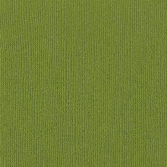 Bazzill 12 x 12 Textured Cardstock - Hillary