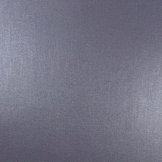 Encore - 12 x 12 Shimmer Textured Pearlescent Cardstock - Dutch Blue