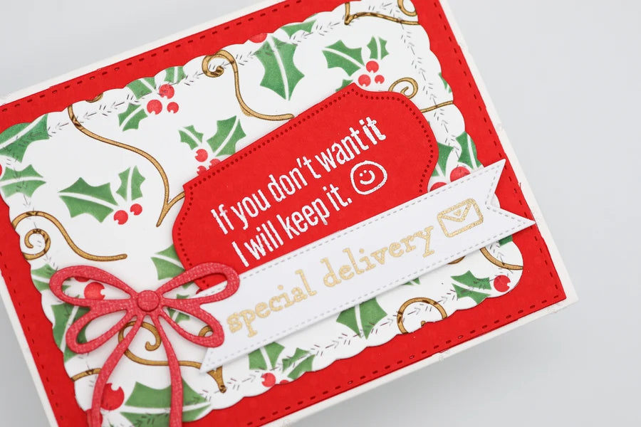 Emily Moore Designs -  Clear Photopolymer Stamps - Special Delivery