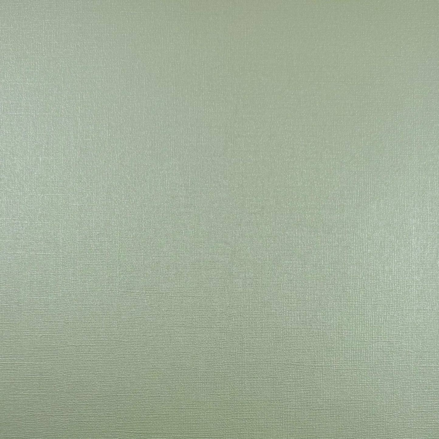 Encore - 12 x 12 Shimmer Textured Pearlescent Cardstock - Iced Mint
