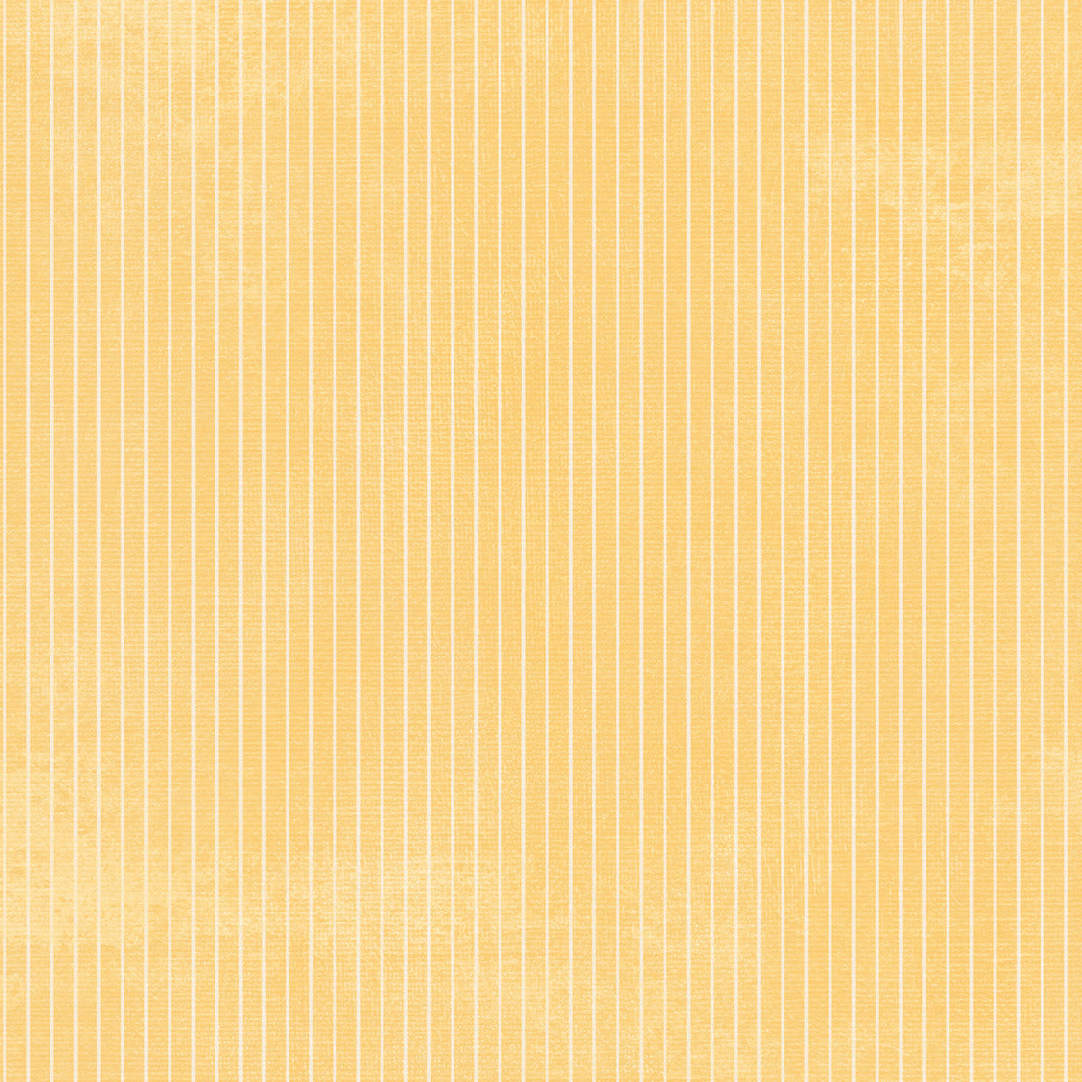 49 And Market - Chronicles Of Oz Collection - 12 x 12 Double Sided Paper - Solids Sheet - Faded Marigold