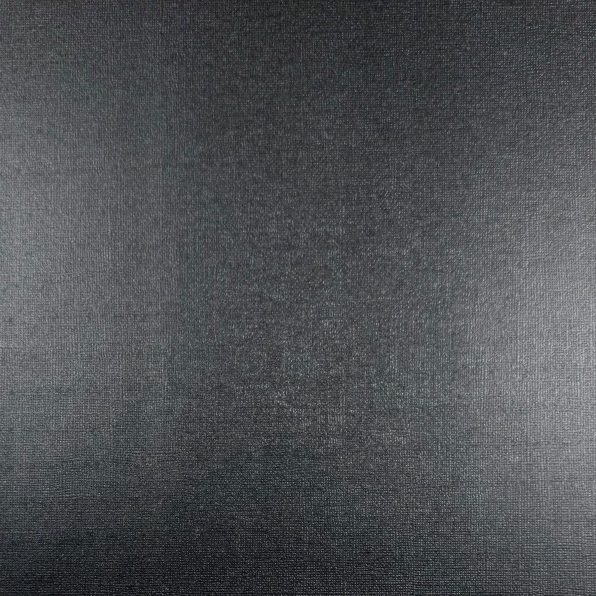 Encore - 12 x 12 Shimmer Textured Pearlescent Cardstock - Black Ice