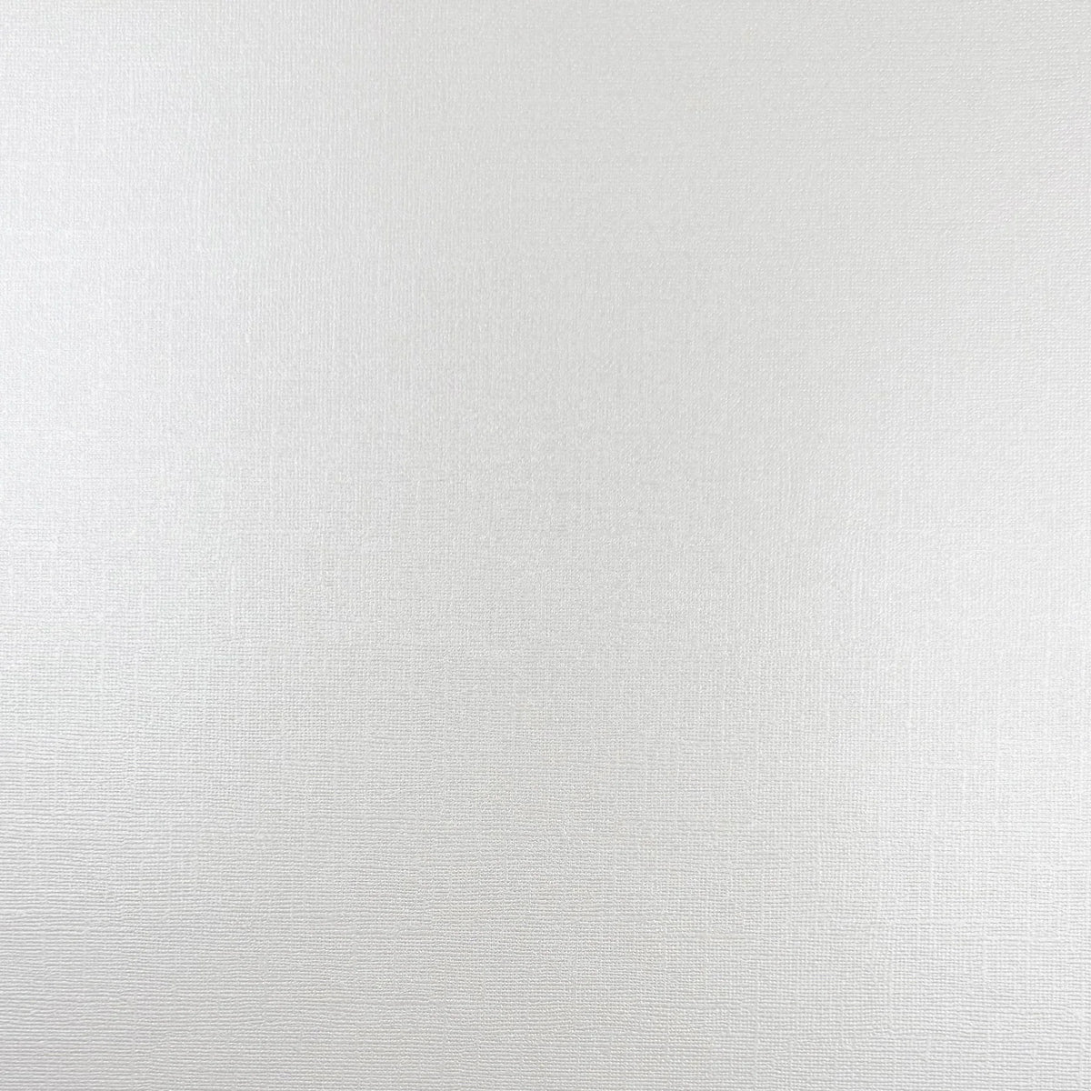 Encore - 12 x 12 Shimmer Textured Pearlescent Cardstock - Milky Way