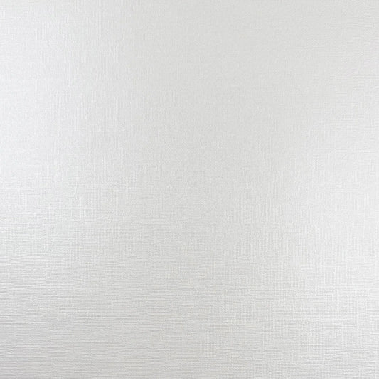 Encore - 12 x 12 Shimmer Textured Pearlescent Cardstock - Milky Way