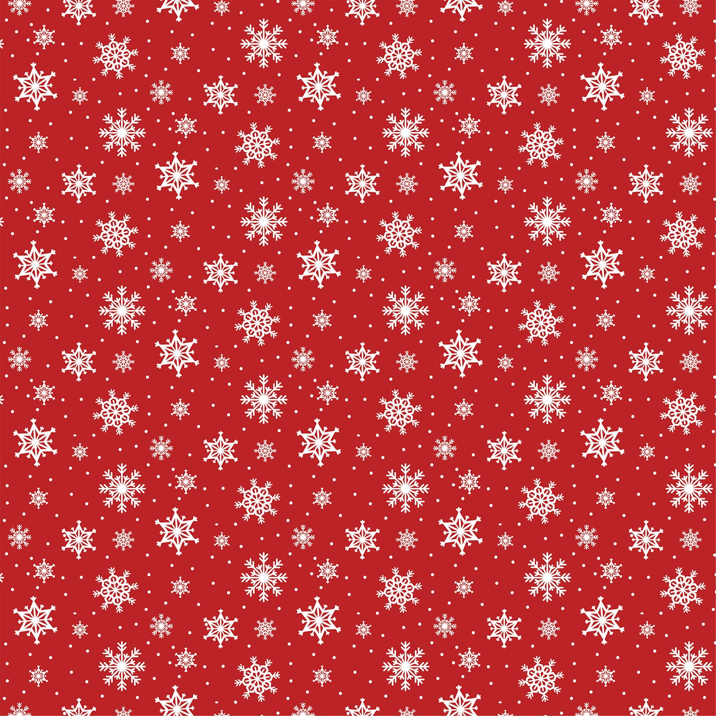 Echo Park -North Pole Christmas Collection - 12 x 12 Double Sided Paper - Arctic Snowflakes