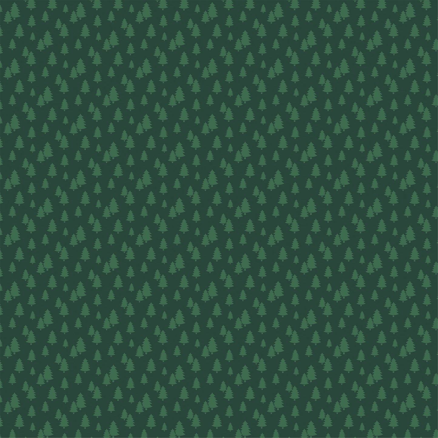Echo Park -North Pole Christmas Collection - 12 x 12 Double Sided Paper - Santa's Shoppes