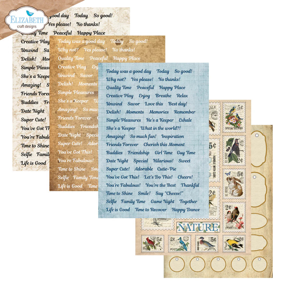 Elizabeth Craft Designs - Delightful Discovery Collection - Patterned Paper Pack - Everyday Ephemera