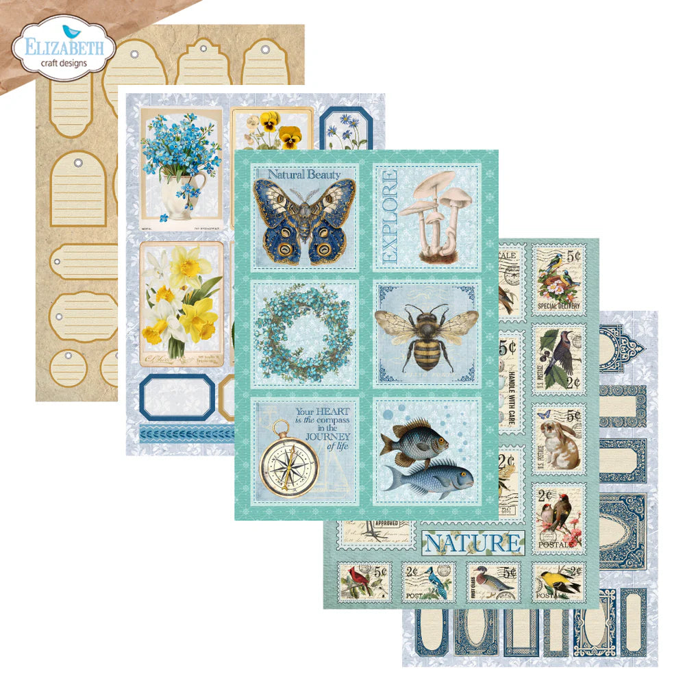 Elizabeth Craft Designs - Delightful Discovery Collection - Patterned Paper Pack - Everyday Ephemera